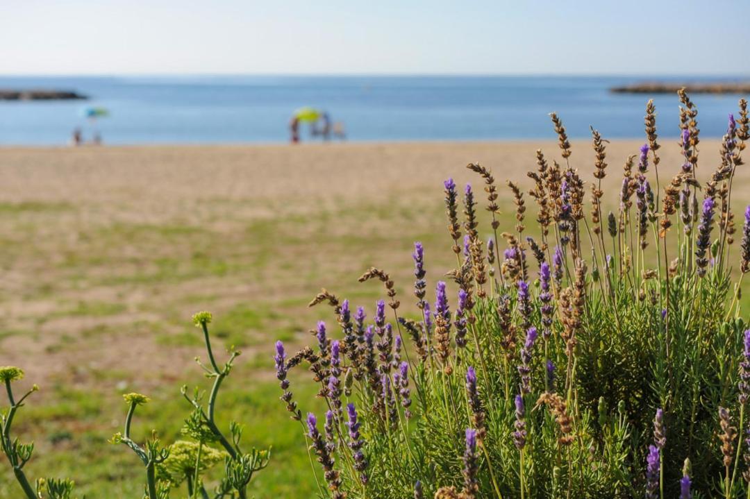 Casa Del Dorado Playa Cambrils Villa Dış mekan fotoğraf